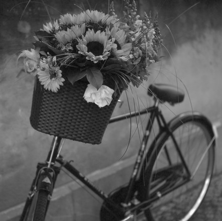 Niederkirchner Stra&szlig;e