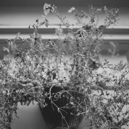 Karl-Marx-Stra&szlig;e