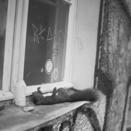 K&ouml;penicker Stra&szlig;e