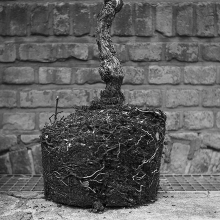 K&ouml;penicker Stra&szlig;e