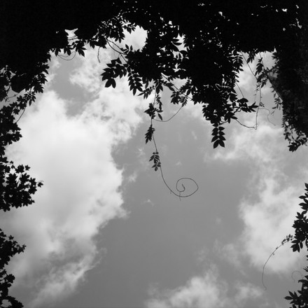 Prinzessinneng&auml;rten, Moritzplatz